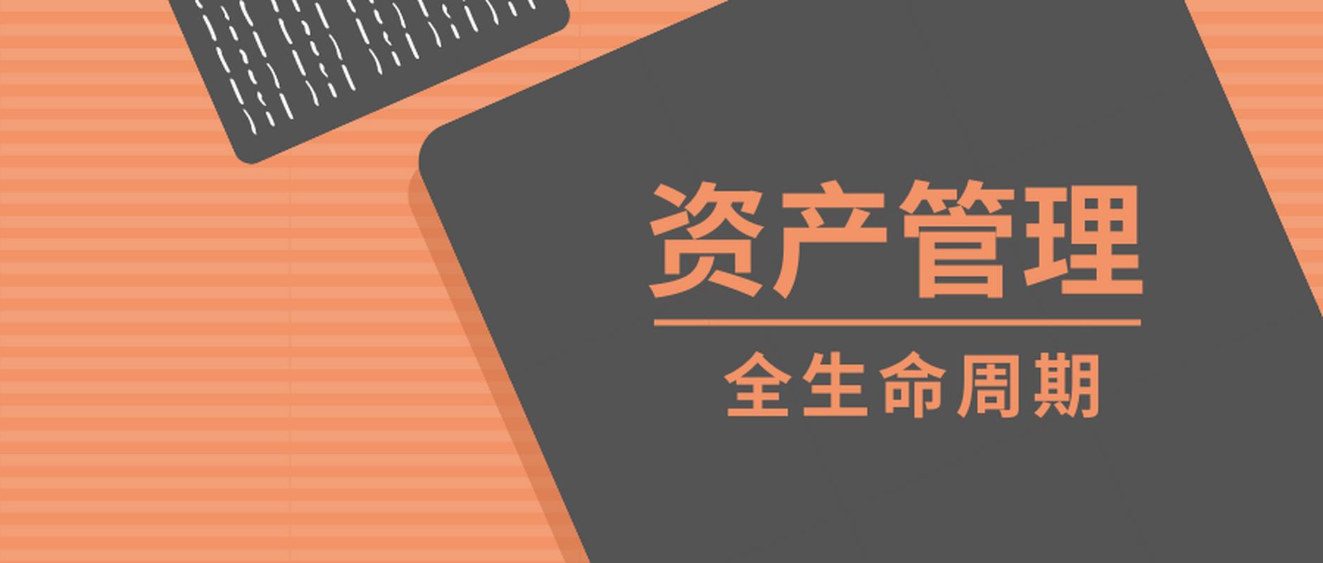 资产信息化管理系统 组织固定资产投资的智慧引擎