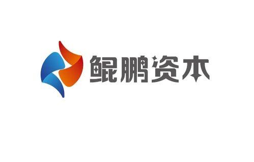 深圳鲲鹏资本的投资布局与管理创新之道